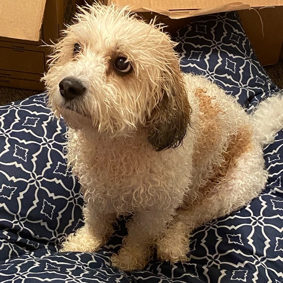 MEET MY PETS (: - Picture 6 of 16